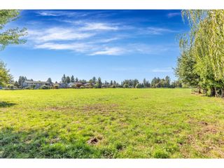 Photo 12: 12591 209 STREET in Maple Ridge: Agriculture for sale : MLS®# C8042027