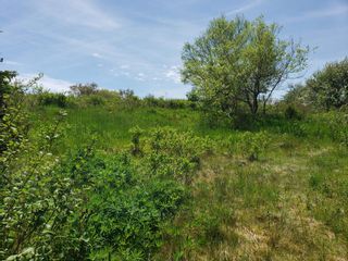 Photo 3: 142 Whitman Street in Canso: 303-Guysborough County Vacant Land for sale (Highland Region)  : MLS®# 202114265