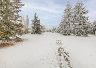 Photo 43: 7 River Rock Place SE in Calgary: Riverbend Detached for sale : MLS®# A1188938