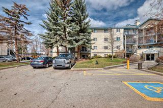 Photo 42: 118 20 Dover Point SE in Calgary: Dover Apartment for sale : MLS®# A2124249