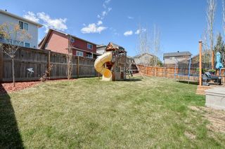 Photo 41: 94 Auburn Glen Common SE in Calgary: Auburn Bay Detached for sale : MLS®# A1217558