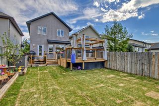 Photo 29: 104 Cranberry Lane SE in Calgary: Cranston Detached for sale : MLS®# A2051933