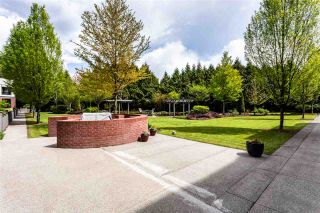 Photo 23: 422 8880 202 Street in Langley: Walnut Grove Condo for sale in "THE RESIDENCES AT VILLAGE SQUARE" : MLS®# R2534222