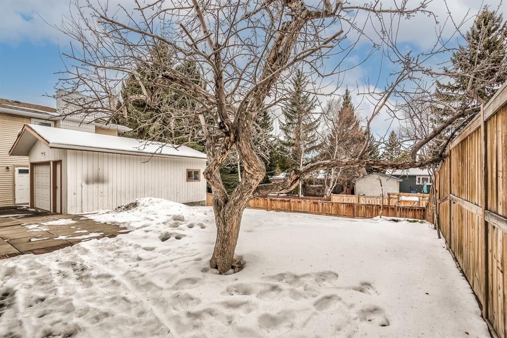 Photo 30: Photos: 5255 Dalcroft Crescent NW in Calgary: Dalhousie Detached for sale : MLS®# A1171928