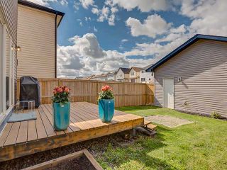 Photo 17: 88 COPPERSTONE Terrace SE in CALGARY: Copperfield Residential Detached Single Family for sale (Calgary)  : MLS®# C3621229