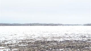 Photo 11: TWP 555 R Rd 223: Rural Sturgeon County Land Commercial for sale : MLS®# E4232904