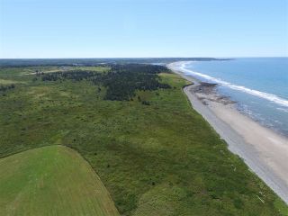 Photo 6: Lot Bartlett Shore Road in Beaver River: Digby County Vacant Land for sale (Annapolis Valley)  : MLS®# 201905390
