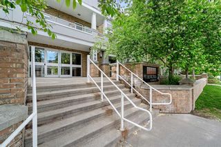 Photo 3: 115 790 Kingsmere Crescent SW in Calgary: Kingsland Apartment for sale : MLS®# A2138427