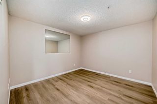 Photo 20: 209 1717 60 Street SE in Calgary: Red Carpet Apartment for sale : MLS®# A2133379