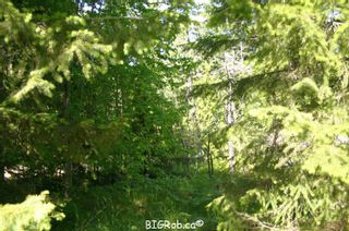Photo 32: 4827 Goodwin Road in Eagle Bay: Vacant Land for sale : MLS®# 10116745