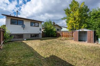 Photo 26: 3636 39 Street NE in Calgary: Whitehorn Detached for sale : MLS®# A1257078