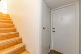 Photo 19: 6715 106 Street in Edmonton: Zone 15 House for sale : MLS®# E4263110