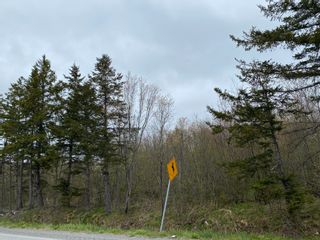 Photo 4: Lot Salter Road in Pleasant Valley: 108-Rural Pictou County Vacant Land for sale (Northern Region)  : MLS®# 202210468
