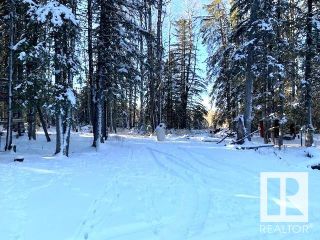 Photo 34: 75034 A TWP RD 453 A: Rural Wetaskiwin County House for sale : MLS®# E4320327