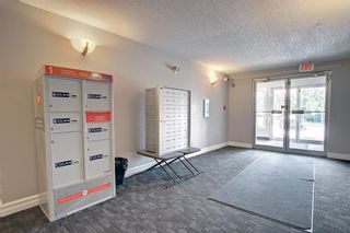 Photo 39: 124 8200 4 Street NE in Calgary: Beddington Heights Apartment for sale : MLS®# A2017788
