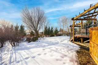 Photo 42: 111 Crystal Shores Grove: Okotoks Detached for sale : MLS®# A2026461