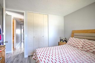 Photo 11: 151 Abadan Crescent NE in Calgary: Abbeydale Detached for sale : MLS®# A2134556