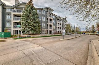 Photo 34: 348 35 Richard Court SW in Calgary: Lincoln Park Apartment for sale : MLS®# A2131312