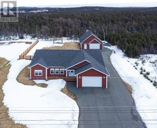 Photo 1: 19 Avalia Place in Flatrock: House for sale : MLS®# 1256784
