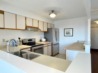 Photo 15: 501 225 25 Avenue SW in Calgary: Mission Apartment for sale : MLS®# A2043153