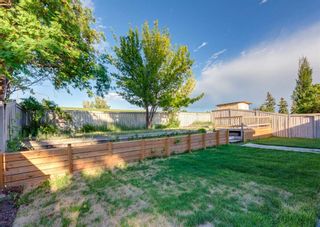 Photo 47: 64 Whitefield Crescent NE in Calgary: Whitehorn Detached for sale : MLS®# A2118273