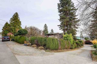 Photo 31: 1388 INGLEWOOD Avenue in West Vancouver: Ambleside House for sale : MLS®# R2559392