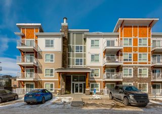 Photo 1: 5105 302 Skyview Ranch Drive NE in Calgary: Skyview Ranch Apartment for sale : MLS®# A2032526