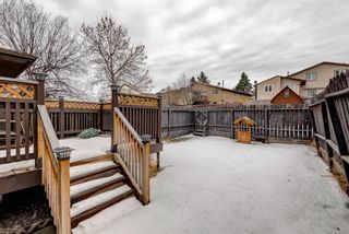 Photo 31: 1139 Berkley Drive NW in Calgary: Beddington Heights Semi Detached for sale : MLS®# A1172048