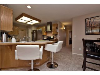 Photo 40: 20560 124A Avenue in Maple Ridge: Northwest Maple Ridge House for sale in "MCKINLEY CREEK ESTATES" : MLS®# V1112586