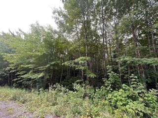 Photo 16: Lot 4 Heron Road in Central West River: 108-Rural Pictou County Vacant Land for sale (Northern Region)  : MLS®# 202221259