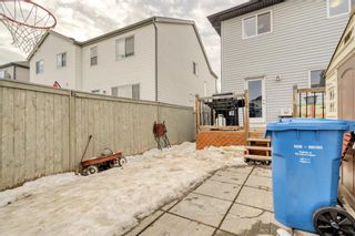 Photo 30: 64 Copperpond Road SE in Calgary: Copperfield Semi Detached (Half Duplex) for sale : MLS®# A2021798