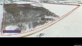 Photo 15: 1/2 Section RM of Good Lake in Good Lake: Farm for sale (Good Lake Rm No. 274)  : MLS®# SK916747