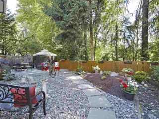 Photo 20: 2994 WALTON Avenue in Coquitlam: Canyon Springs House for sale : MLS®# R2379194