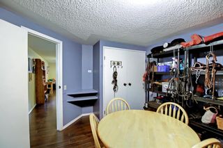 Photo 31: 5104 Norris Road NW in Calgary: North Haven Detached for sale : MLS®# A1224114