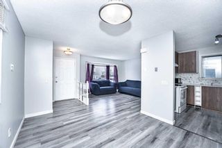 Photo 9: 6079 Martingrove Road NE in Calgary: Martindale Detached for sale : MLS®# A2121802