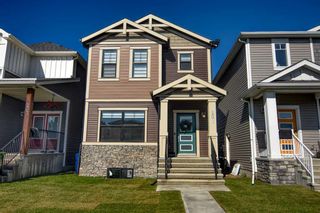 Photo 4: 207 Homestead Drive NE in Calgary: C-686 Detached for sale : MLS®# A2069712