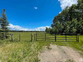 Photo 4: RR 20: Rural Wetaskiwin County Rural Land/Vacant Lot for sale : MLS®# E4300759