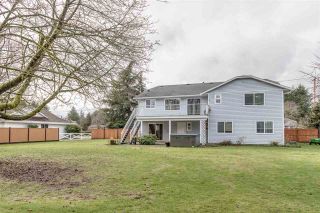 Photo 18: 5684 245A Street in Langley: Salmon River House for sale in "SALMON RIVER" : MLS®# R2230571
