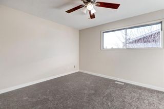 Photo 16: 1164 Penrith Crescent SE in Calgary: Penbrooke Meadows Detached for sale : MLS®# A1179712