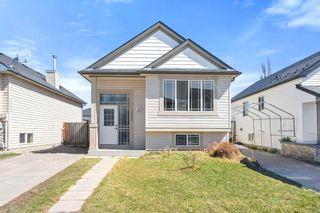 Main Photo: 1060 Bridlemeadows Manor SW in Calgary: Bridlewood Detached for sale : MLS®# A2122717