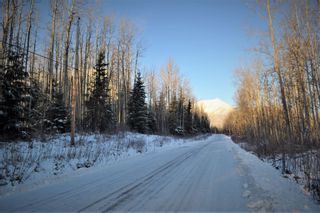 Photo 13: GLACIER GULCH RD ROAD in Smithers: Smithers - Rural Land for sale (Smithers And Area (Zone 54))  : MLS®# R2633357