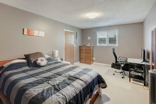 Photo 12: 4819 22 Avenue NW in Calgary: Montgomery Detached for sale : MLS®# A2053112