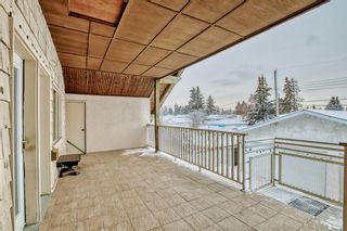 Photo 27: 1301 40 Street SE in Calgary: Forest Lawn Detached for sale : MLS®# A2022728