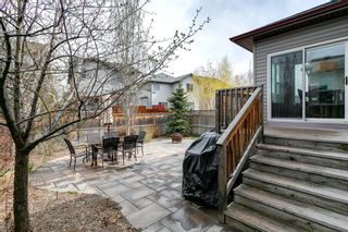 Photo 35: 31 BRIGHTONCREST Common SE in Calgary: New Brighton Detached for sale : MLS®# A1102901