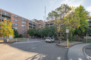 Photo 27: 227 30 Mchugh Court NE in Calgary: Mayland Heights Apartment for sale : MLS®# A2003552