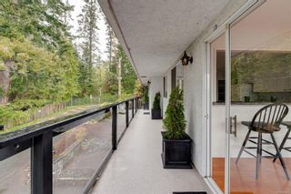 Photo 40: 7261 Babbington Lane in Central Saanich: CS Brentwood Bay House for sale : MLS®# 902354
