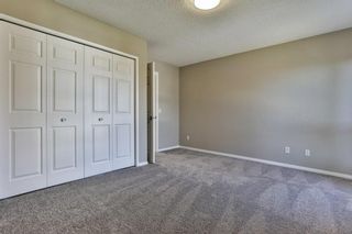 Photo 16: 47 TEMPLEGREEN Place NE in Calgary: Temple Detached for sale : MLS®# C4273952