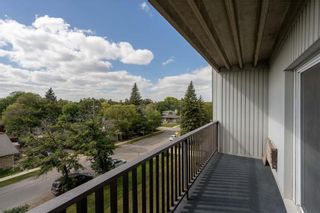 Photo 26: 402 175 Pulberry Street in Winnipeg: Pulberry Condominium for sale (2C)  : MLS®# 202324537