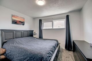 Photo 11: 3210 14 Street NW in Calgary: Rosemont Semi Detached for sale : MLS®# A1227625