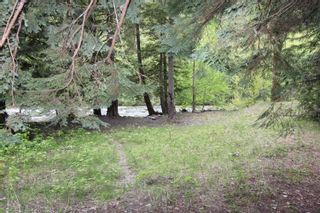 Photo 8: 7951 PARADISE VALLEY Road in Squamish: Paradise Valley House for sale : MLS®# R2782706